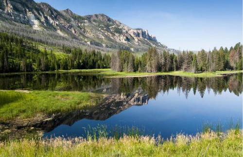 The Yellowstone - Spacious Wapiti Valley Cabin with Stunning Views! - Foto 45