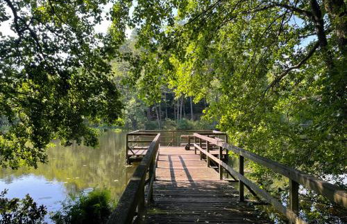 Bory Za Płotem - Foto 31