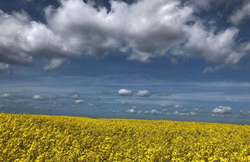 Holiday Home Nordlicht by Interhome - Photo 34