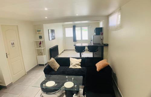 Appartement cosy proche Roissy CDG Astérix DisneyLand Paris - Foto 26