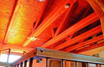 Blick auf den Bodden - Foto 1