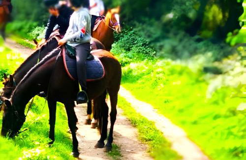 Appartamento inCentro - Foto 28