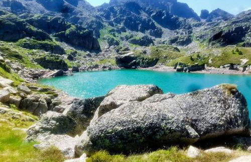 Les FEICHES et MARGUERITES - Foto 34