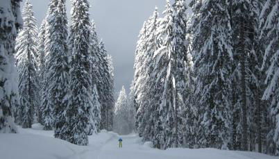 Ferienwohnungen Ortner-Hof inkl. Chiemgaukarte - Foto 5