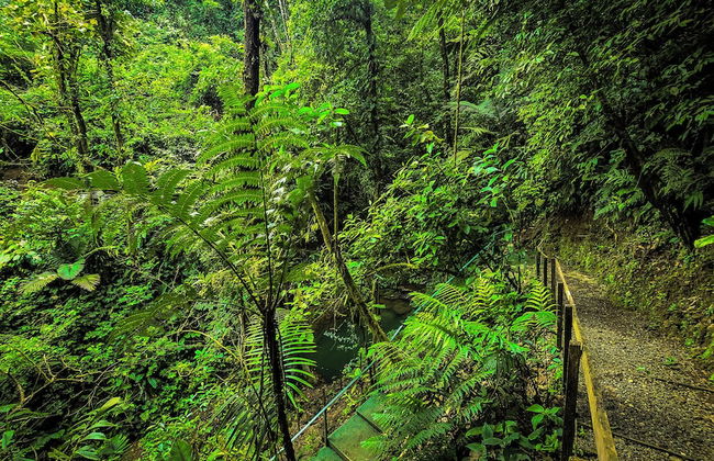 Cabañas Caeli Rainforest Glass Cabin La Perezosa La Fortuna - Foto 37
