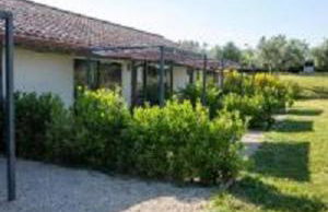 Azienda Agricola Il Bagolaro - Foto 101