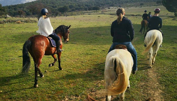Sierra de Grazalema Horse Riding Tour - Foto 3