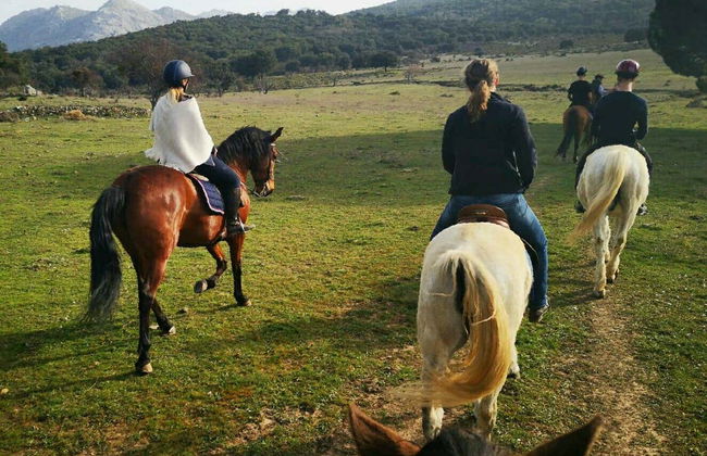 Sierra de Grazalema Horse Riding Tour - Foto 3