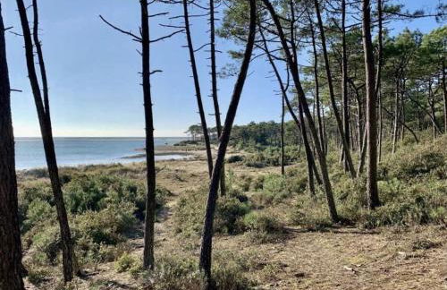 "LA VILLA DES HAUTES MERS" Villa 4 étoiles, 10 personnes, piscine privée chauffée, parc arboré, proche plage et marais - Foto 51