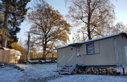 Wagenburg-Solling - Foto 16