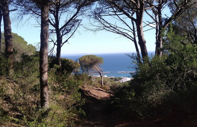 Villa Malyma Zahora - Beach Front Sea View - Foto 29