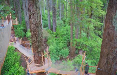 Nautilus Cove Cottage by Pebble Beach & Redwoods - Foto 22