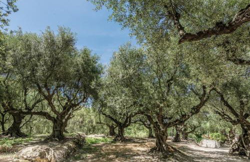 Agrikia Villa - Foto 40