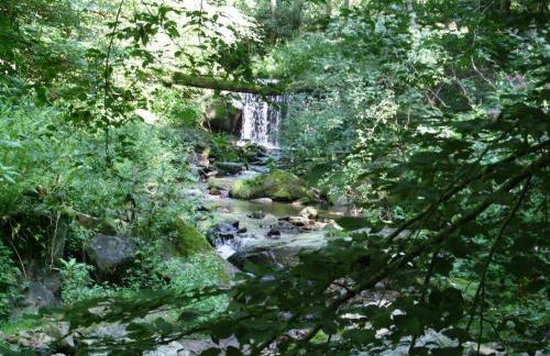 Apartment Örtl in Obernzell by Interhome - Foto 25