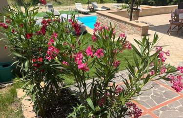 Casa Loumavi - Foto 44