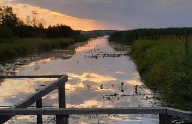 Fewo Im alten Fachwerkhaus - Foto 28