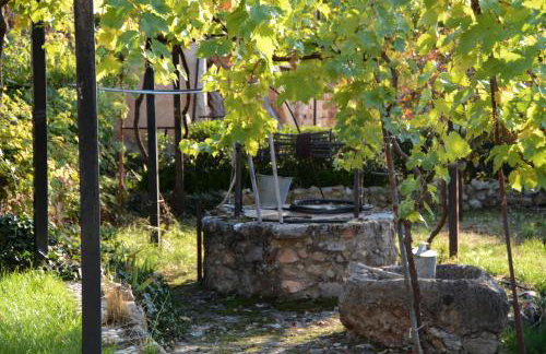 Giorgos' & Noula's Cottage in Desfina village- near Delphi - Foto 13