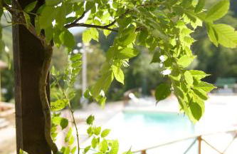 Agriturismo Ca' Montioni - Foto 23