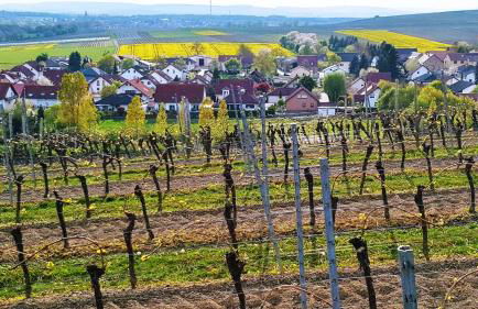 Gästehaus Maurer - Foto 12