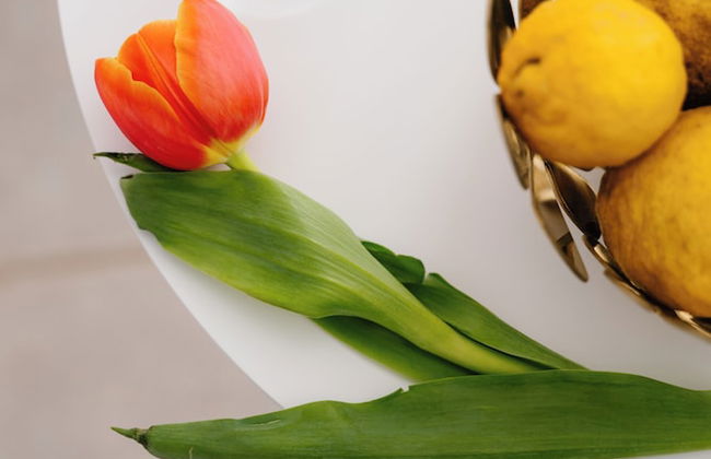 Tenuta del Barco WineRestaurant and Hospitality - Foto 133