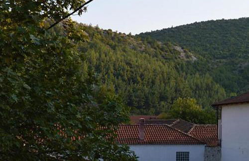 "The plane trees" - Foto 41