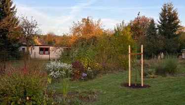 Auszeit in Märkische Schweiz - Foto 4, Garden, Garden view