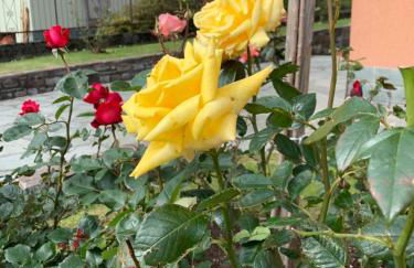 Casa Giardino fiorito - Foto 25