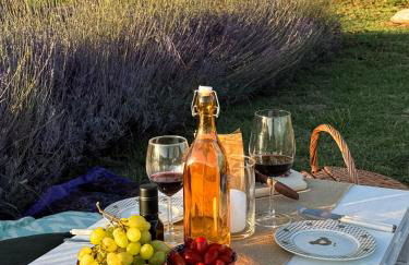 CLAUDIA VACANZA TOSCANA - Appartamento Nocciolo- 10 min da Siena - Foto 30