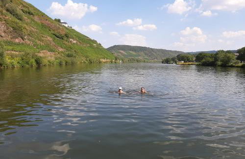 Residenz Moselstausee - Foto 63