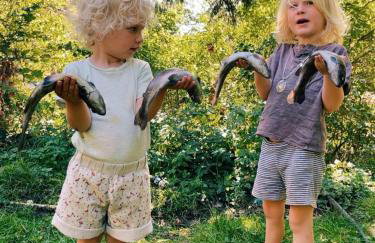 Cévennes Méridionales maison linge fourni - Foto 64
