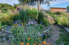 Dihan Evasion - Foto 43