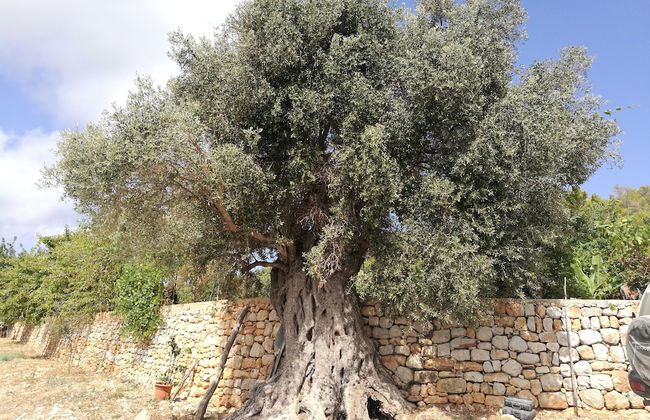 Agroturismo Can Prats - Foto 51