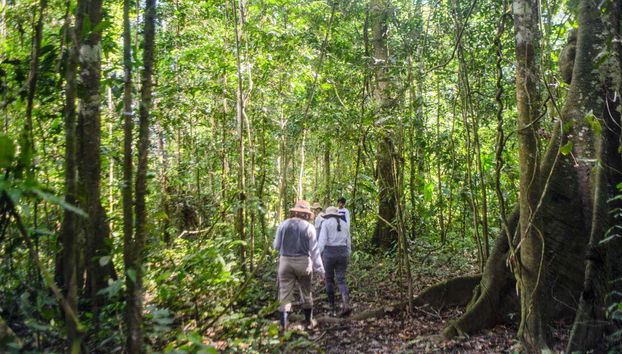 Cacao Island and San Antonio Community Trip - Foto 3