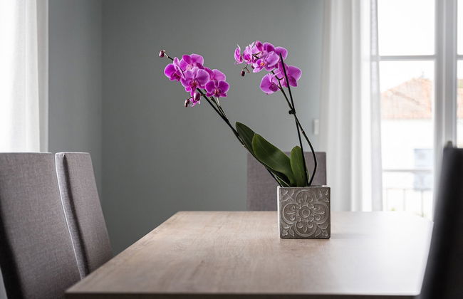 Old Port Spetses Mansion - Photo 30