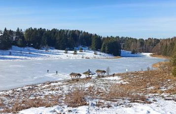 Agroturystyka Pokój na Skarpie - Foto 32