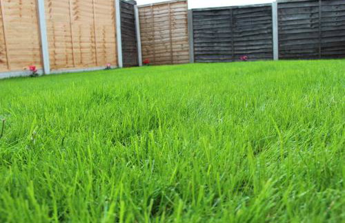 Mosh Homes - Foto 47