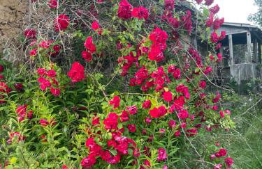 Chata Smarzewo - Foto 16