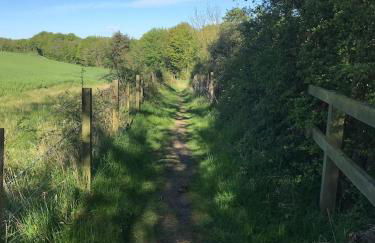 Herb Wood Cottage - Foto 45