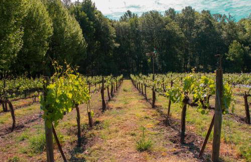 Quinta de Requeixo - Foto 58