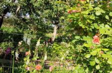 Ruralna kuća za odmor Pozojova hiža - Rural Holiday House - Foto 47