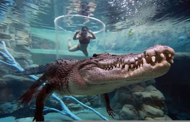 Majestic Manor Stylish Super Home Pool BBQ - Foto 30