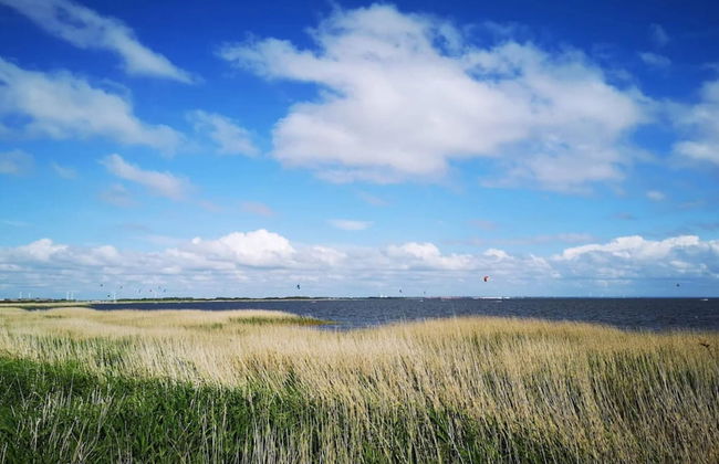 2 Person Holiday Home in Ringkobing - Photo 41