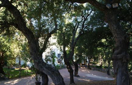 Agriturismo Le Sughere - Foto 42