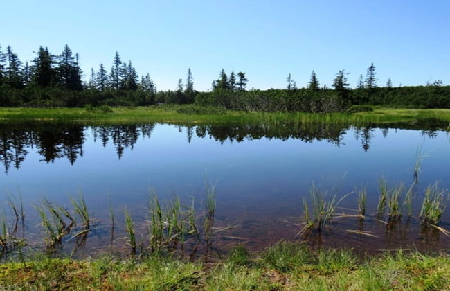 Chalet in Annaberg-lungotz With a Community Pool - Foto 48