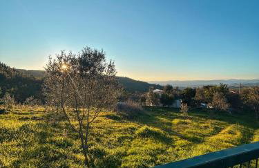 Alojamento Local Vale dos Vascos - Photo 4