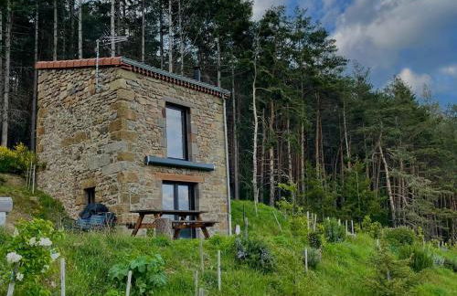 Maison de vigne rénovée à Langeac, nature et randonnées - FR-1-582-86 - Foto 7