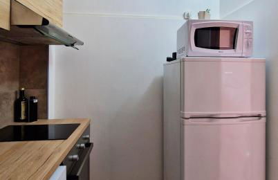 T2 vue mer & montagne Golfe de Porto-Ota - Foto 28