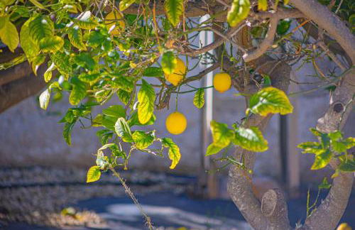 Villa Flamencos - PlusHolidays - Foto 5