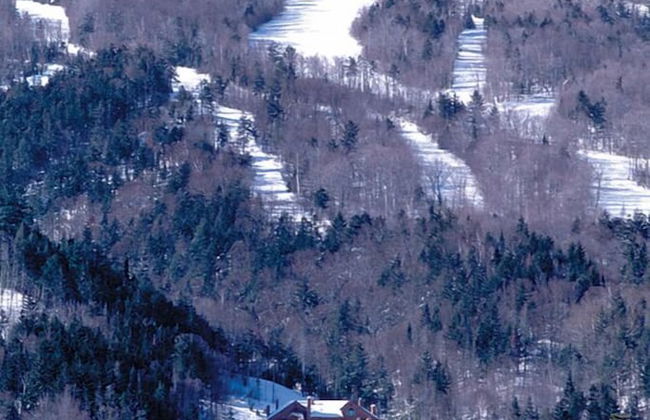 Townhomes at Bretton Woods - Photo 40