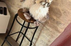 Appartement Chalet Pra Loup - Foto 25